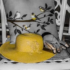 Meet your Posher, Donna